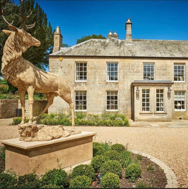 Walwick Hall Country Estate And Spa Hexham Esterno foto